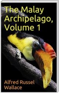 The Malay Archipelago, Volume 1