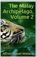 The Malay Archipelago, Volume 2