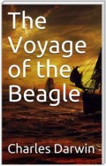 The Voyage of the Beagle