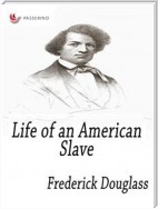 Life of an American Slave
