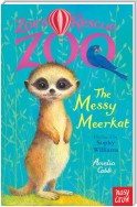 The Messy Meerkat