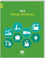 2012 Energy Balances