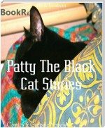 Patty The Black Cat Stories