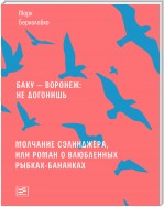 Баку – Воронеж: не догонишь. Молчание Сэлинджера, или Роман о влюбленных рыбках-бананках