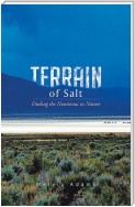 Terrain of Salt