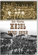 Жизнь. Книга 2. Перед бурей