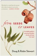 From Seeds to Leaves
