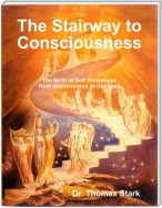 The Stairway to Consciousness: The Birth of Self Awareness from Unconscious Archetypes