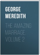 The Amazing Marriage. Volume 2