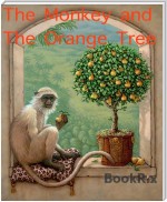 The Monkey and The Orange Tree