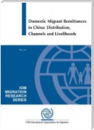 Domestic Migrant Remittances in China