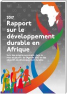 Rapport sur le développement durable en Afrique 2017