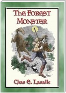 THE FOREST MONSTER - a YA Western with action, adventure and loads of romance