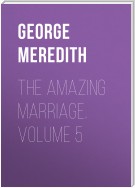 The Amazing Marriage. Volume 5