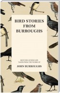 Bird Stories from Burroughs - Sketches of Bird Life Taken from the Works of John Burroughs