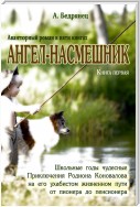 Ангел-насмешник. Приключения Родиона Коновалова на его ухабистом жизненном пути от пионера до пенсионера. Книга первая. Школьные годы чудесные