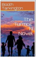 The Turmoil: A Novel