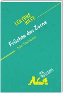 Früchte des Zorns von John Steinbeck (Lektürehilfe)