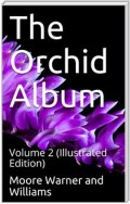 The Orchid Album, Volume 2 / comprising coloured figures and descriptions of new, rare, / and beautiful Orchidaceous Plants