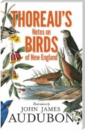 Thoreau's Notes on Birds of New England