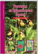 Растения из Красной книги России