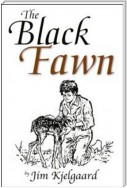 The Black Fawn