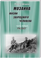 Мозаика жизни заурядного человека. Часть первая. Разбег