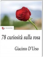 78 curiosità sulla rosa