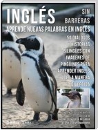 Inglés Sin Barreras - Aprende Nuevas Palabras en Inglés