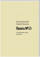 Палата №13. Трагикомедия в двух действиях