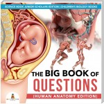 The Big Book of Questions (Human Anatomy Edition) | Science Book Junior Scholars Edition | Children's Biology Books