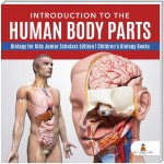 Introduction to the Human Body Parts | Biology for Kids Junior Scholars Edition | Children's Biology Books