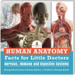 Human Anatomy Facts for Little Doctors : Nervous, Immune and Digestive Systems | Biology Book Junior Scholars Edition | Children's Biology Books
