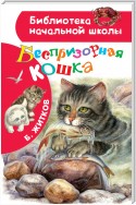 Беспризорная кошка