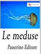 Le meduse
