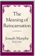 The Meaning of Reincarnation