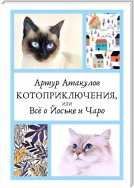 Котоприключения, или Всё о Йоське и Чаро