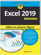 Excel 2019 Alles in einem Band für Dummies
