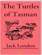 The Turtles of Tasman