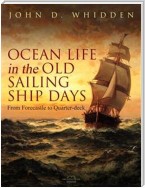 Ocean Life in the Old Sailing Ship Days