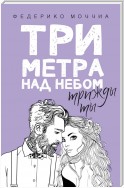 Три метра над небом. Трижды ты