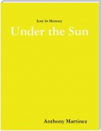 Lost In Memory: Under the Sun