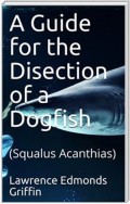 A Guide for the Disection of a Dogfish / (Squalus Acanthias)