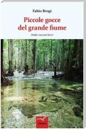 Piccole gocce del grande fiume