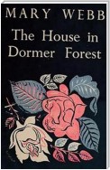 The House in Dormer Forest