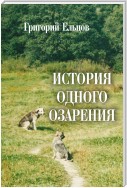 История одного озарения