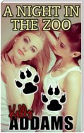 A Night In The Zoo