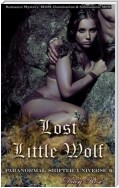 Lost Little Wolf