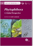 Phytophthora