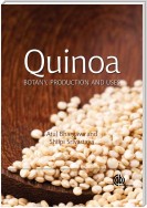 Quinoa